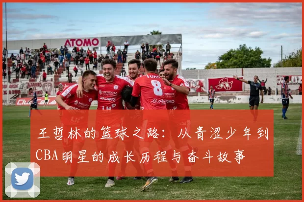 王哲林的篮球之路：从青涩少年到CBA明星的成长历程与奋斗故事