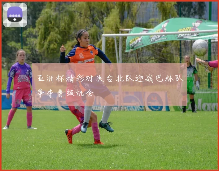 亚洲杯精彩对决台北队迎战巴林队争夺晋级机会