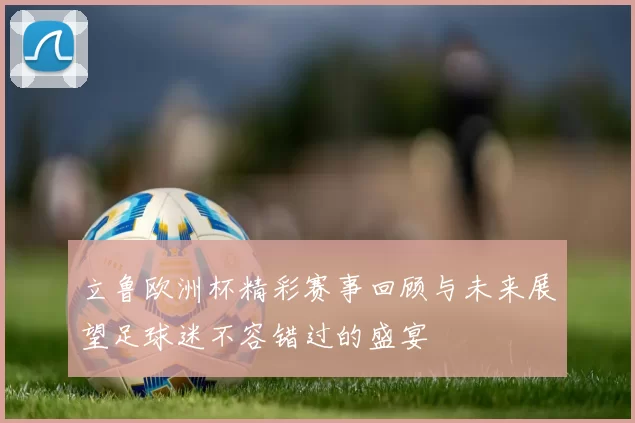 立鲁欧洲杯精彩赛事回顾与未来展望足球迷不容错过的盛宴
