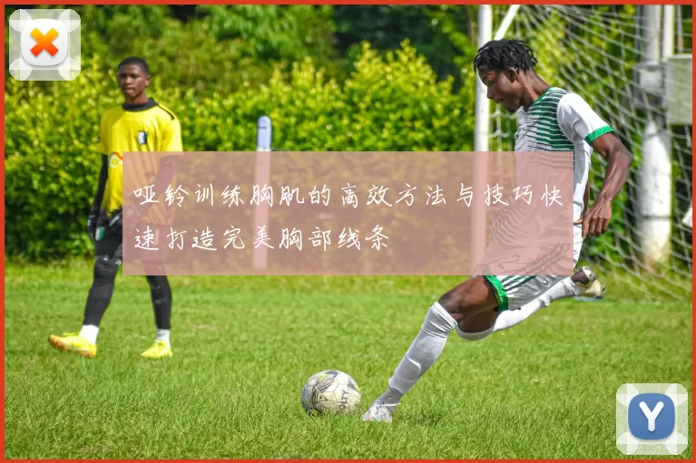 哑铃训练胸肌的高效方法与技巧快速打造完美胸部线条