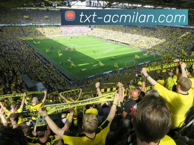 米兰官网APP 高清赛事图